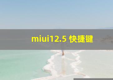 miui12.5 快捷键